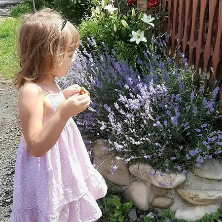 Guest house у мирослави *