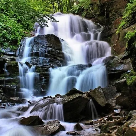 у мирослави Pilipets