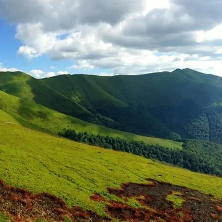 у мирослави *